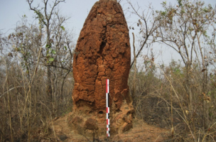 Four de réduction du minerai de fer sur le site de Tatré 4