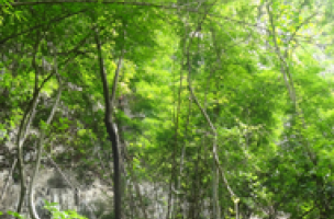 Accès au site de Doi Pha Kan