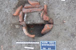 Dijon Montmuzard 10