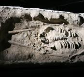 Aux sources du métissage primitif