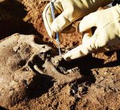 Aimargues : une fouille archéologique révèle cinq siècles d'histoire d'un village du haut Moyen Âge