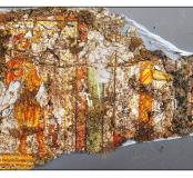 Les peintures romaines exceptionnelles de la place du Château à Strasbourg
