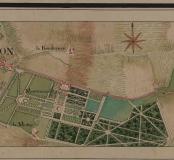 Dijon Montmuzard 13