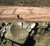 ZAC des Fossés Neufs