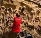 Les surprises des sous-sols du boulevard Sébastopol à Paris : archéologie du cimetière de la Trinité
