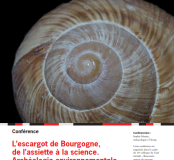 Conférence escargot bourgogne
