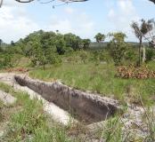 Un diagnostic archéologique dans le centre spatial guyanais
