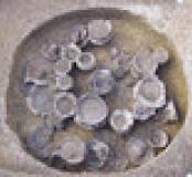 Un exceptionnel ensemble funéraire de l'âge du Fer (IXe-VIIe siècles avant J.-C.) en Languedoc