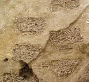 Découverte d'un ensemble archéologique exceptionnel : des sépultures de catastrophe, témoins de la peste à Issoudun (Loir-et-Cher) ?