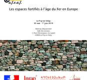 Affiche AFEAF 2019