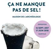 affiche-exposition-ca-ne-manque-pas-de-sel-_galleryfull.jpg