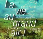 affichelavieaugrandair