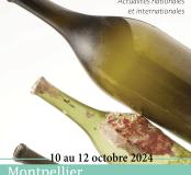 affiche_afav_2024.jpg