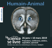 Atelier archéozoologie - Antony