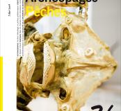 Archéopages n°26 : Pêches