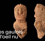 Conf Gaulois à l'oeil nu