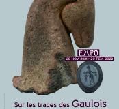 Sur les traces des gaulois expo Vendée