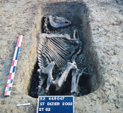 Vue générale de la tombe de cheval