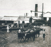 La place pavée au XIXe siècle. Usine sucrière de Vue Belle à la Saline en activité, carte postale de la fin du XIXe siècle. ADR.