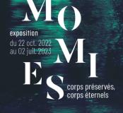 Affiche momies Toulouse