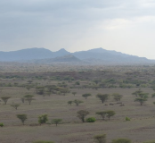 La région de Nariokotome (West Turkana, Kenya)