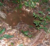 Guyane-montagne-couronnee2.jpg