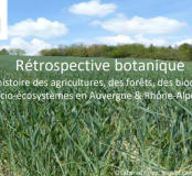 visuel_hdr_manon_cabanis.png