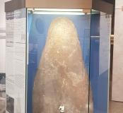 Expo Nîmes