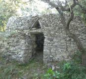 vitrine_actualite_garrigue_111.jpg