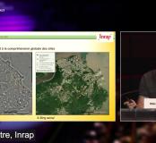 Diversité des paysages littoraux et occupations humaines précolombiennes : les recherches archéologiques préventives de l'île de Cayenne (2002-2020) Mickaël Mestre, Inrap