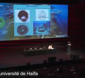 La plus ancienne défense côtière découverte sur un site néolithique submergé au large de la côte du Carmel, en Israël - preuve de la lutte préhistorique contre l'élévation du niveau de la mer. Ehud Galili, université de Haïfa