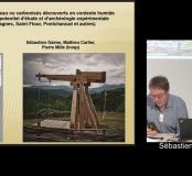 Bois gorgés d'eau ou carbonisés découverts en contexte humide auvergnat :
