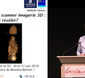 La fouille virtuelle, entre le scanner et l'imagerie 3D, doit-on tout révéler ?