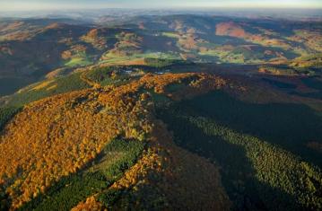 Bibracte : du haut de cette colline 25 siècles vous contemplent