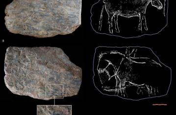 Du nouveau à l'Ouest : l’art paléolithique du Rocher de l'Impératrice (Plougastel-Daoulas, Finistère)
