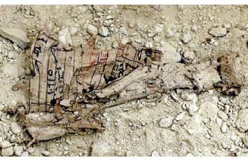 Les papyrus de la Mer rouge