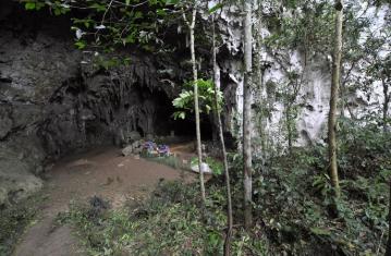 La découverte de l'Homo Luzonensis