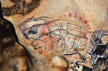 La grotte Chauvet, palais des mémoires