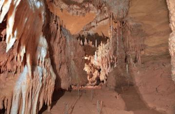 La grotte de Cussac… 30 000 ans d’Histoire 