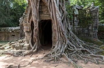 Une histoire universelle des ruines