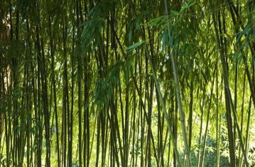 Et si les préhistoriens avaient tout raté : la part de l’invisible en préhistoire