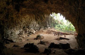  Histoire des civilisations et civilisations sans histoire