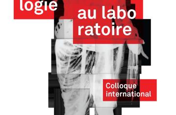 L'archéologie au laboratoire 
