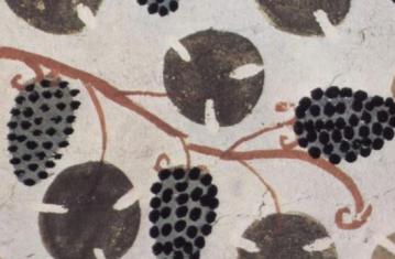 Archéologie de la vigne et du vin