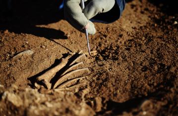 Les sciences et les méthodes de l'archéologie