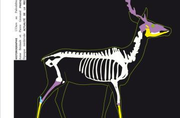 Archéopages n°28 : Chasses
