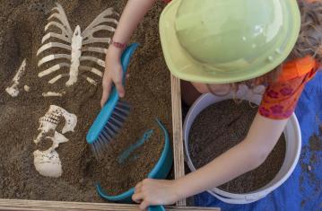 Découvrir l'archéologie