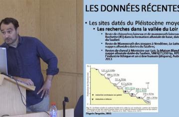 Les grands mammifères avant le Dernier Maximum Glaciaire dans la moitié sud du Bassin parisien