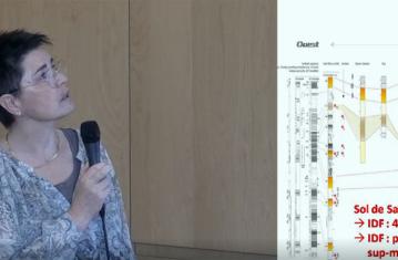 Bilan chronostratigraphique des séquences pléistocènes en Ile-de-France dans le cadre du préventif
