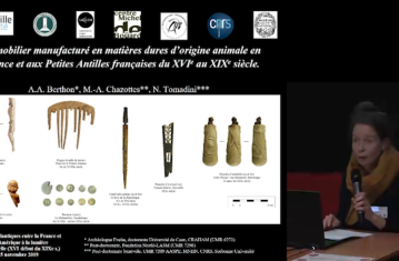Le mobilier manufacturé en matière dure d’origine animale en France et aux Petites Antilles françaises (XVIe-XIXe s.)